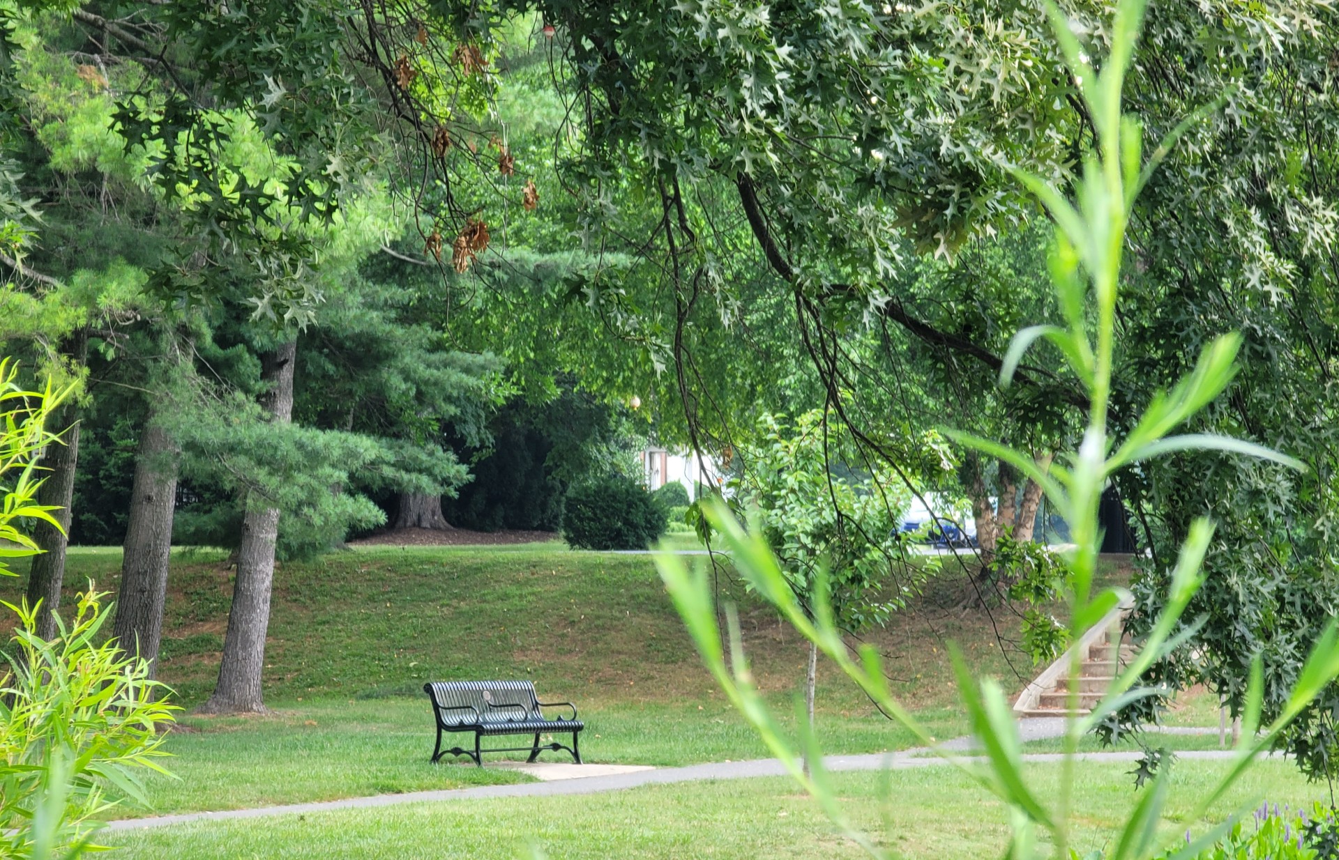 Empty Bench in Park